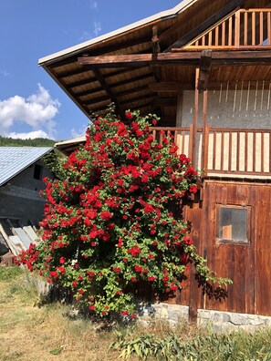 Détail de l’extérieur