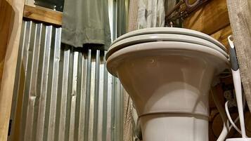 Een badkamer met toilet, douche en een raam met gordijnen.