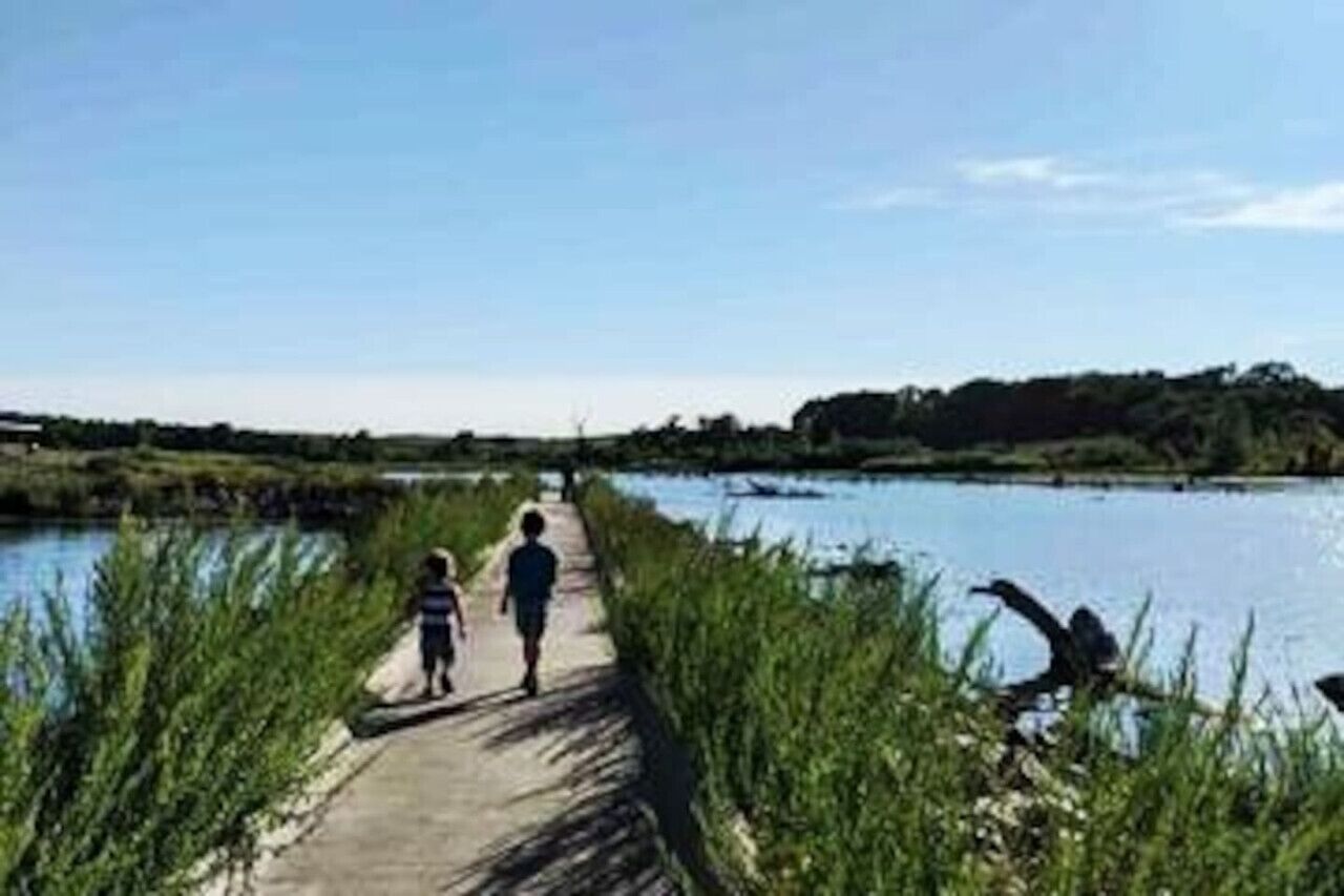 A pathway beside a body of water with vegetation on either side.