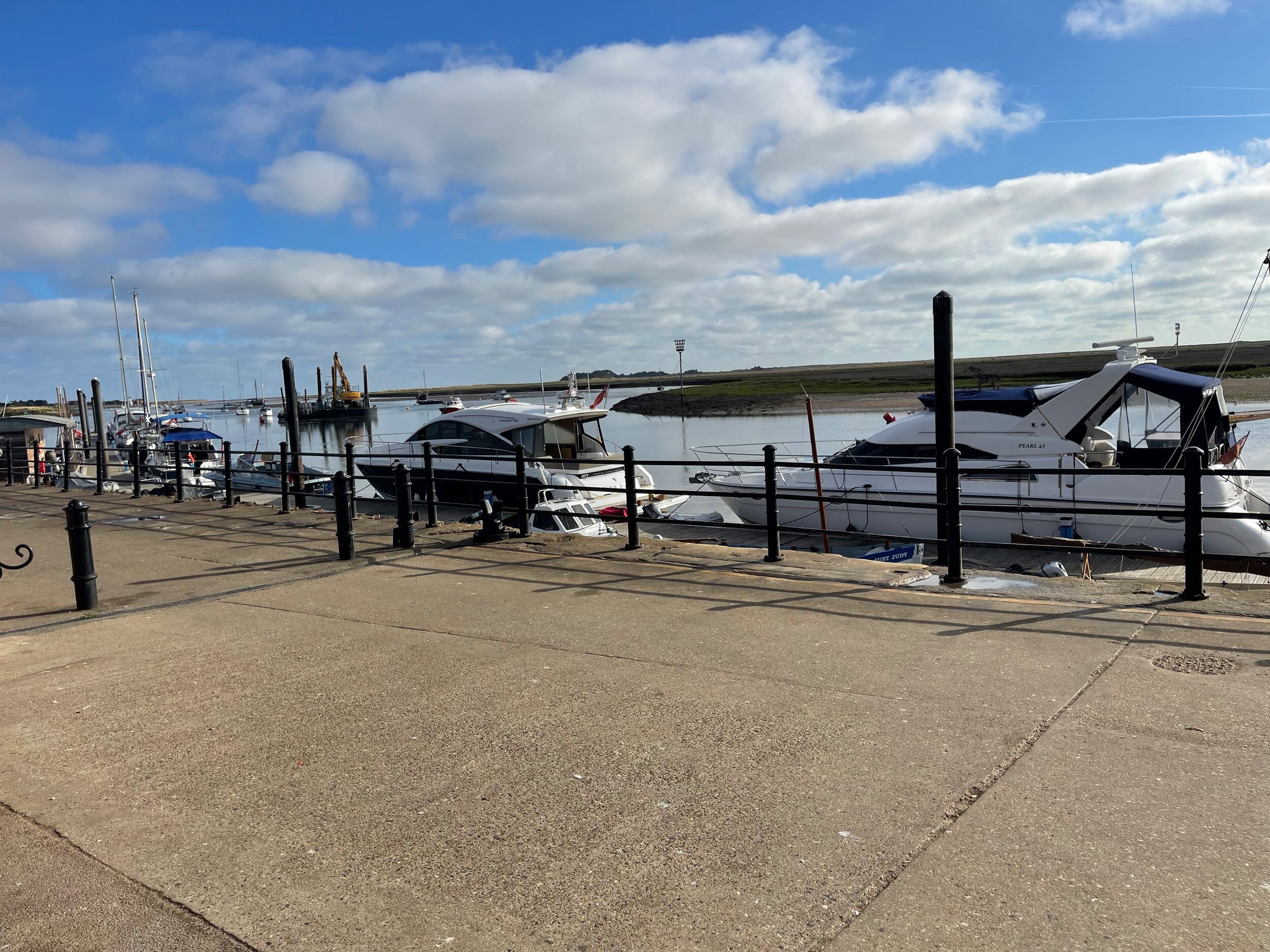 A marina with several boats docked, a concrete walkway, and a grassy area in the background.