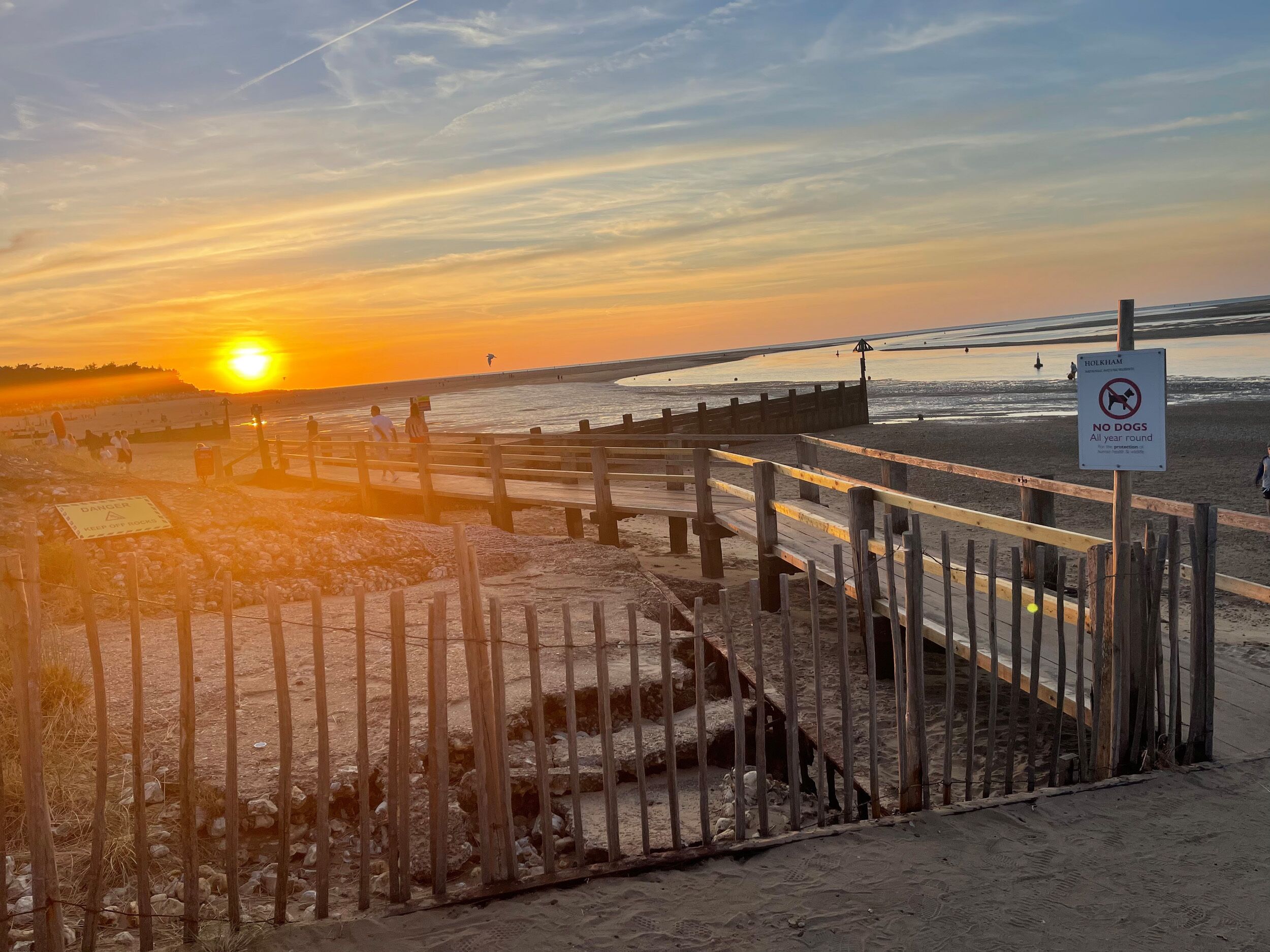 A wooden boardwalk leading to a beach with a 'No Dogs' sign, a 'Danger' sign, and a sunset in the background.