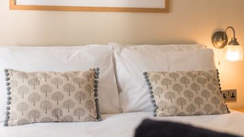 Habitación doble clásica, con acceso para personas discapacitadas, baño en la habitación | 1 habitación