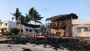 Une plage avec des empreintes de pas, des palmiers et un bâtiment en construction.