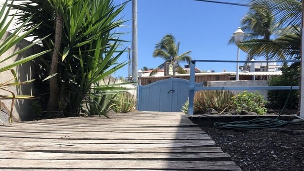 Un sentier en bois mène à une zone délimitée par une grille, où l’on trouve des palmiers et un ciel d’un bleu limpide.