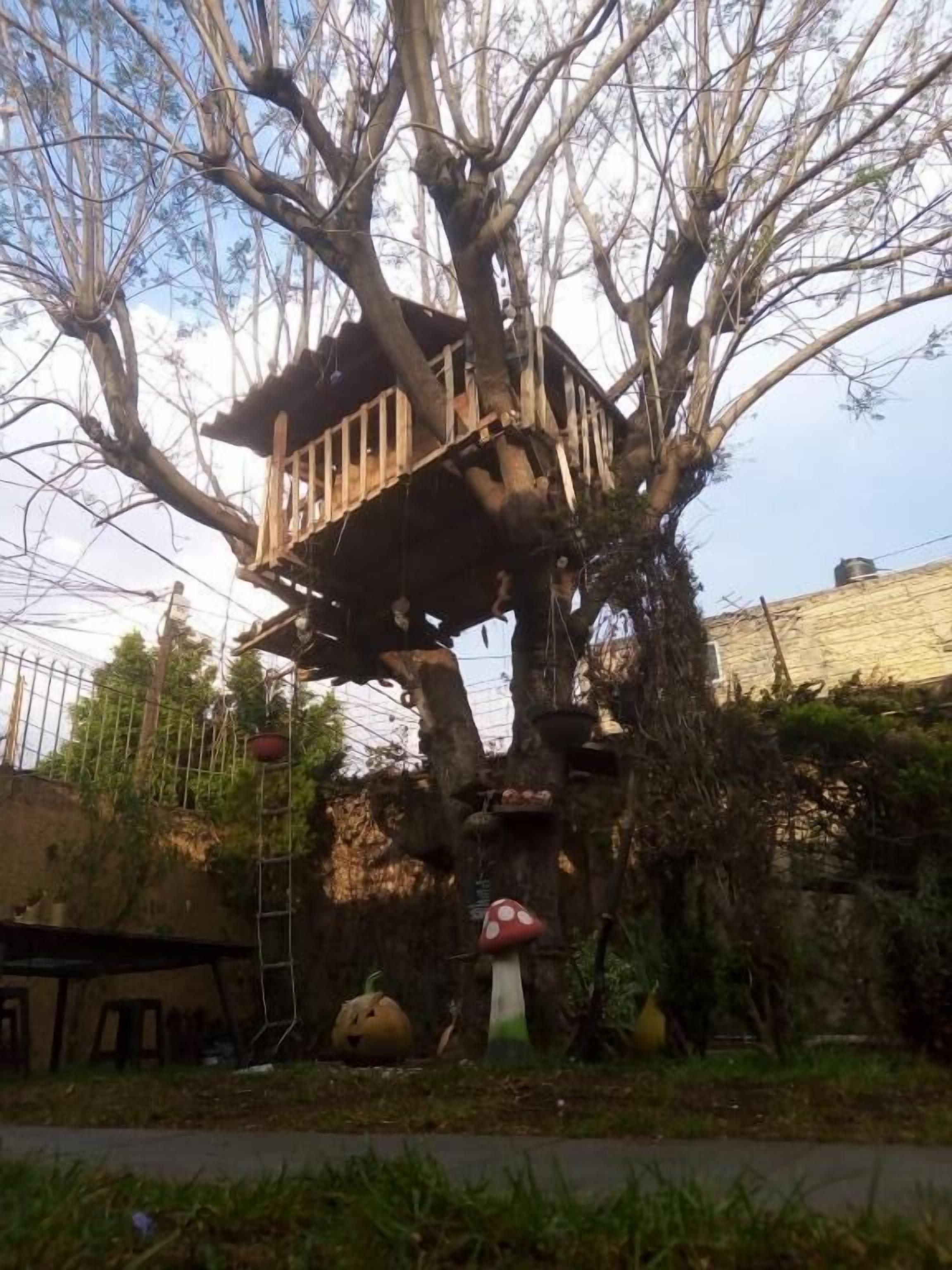 Photo - Casita del Árbol
