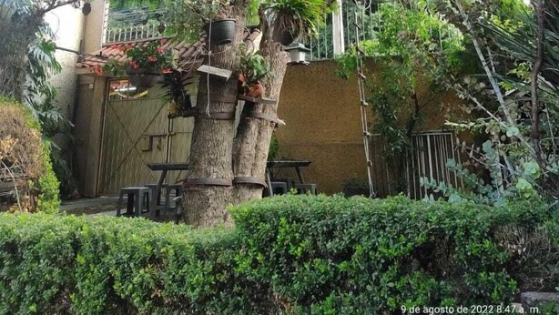 Exterior - Casita del Arbol (Mexico City)