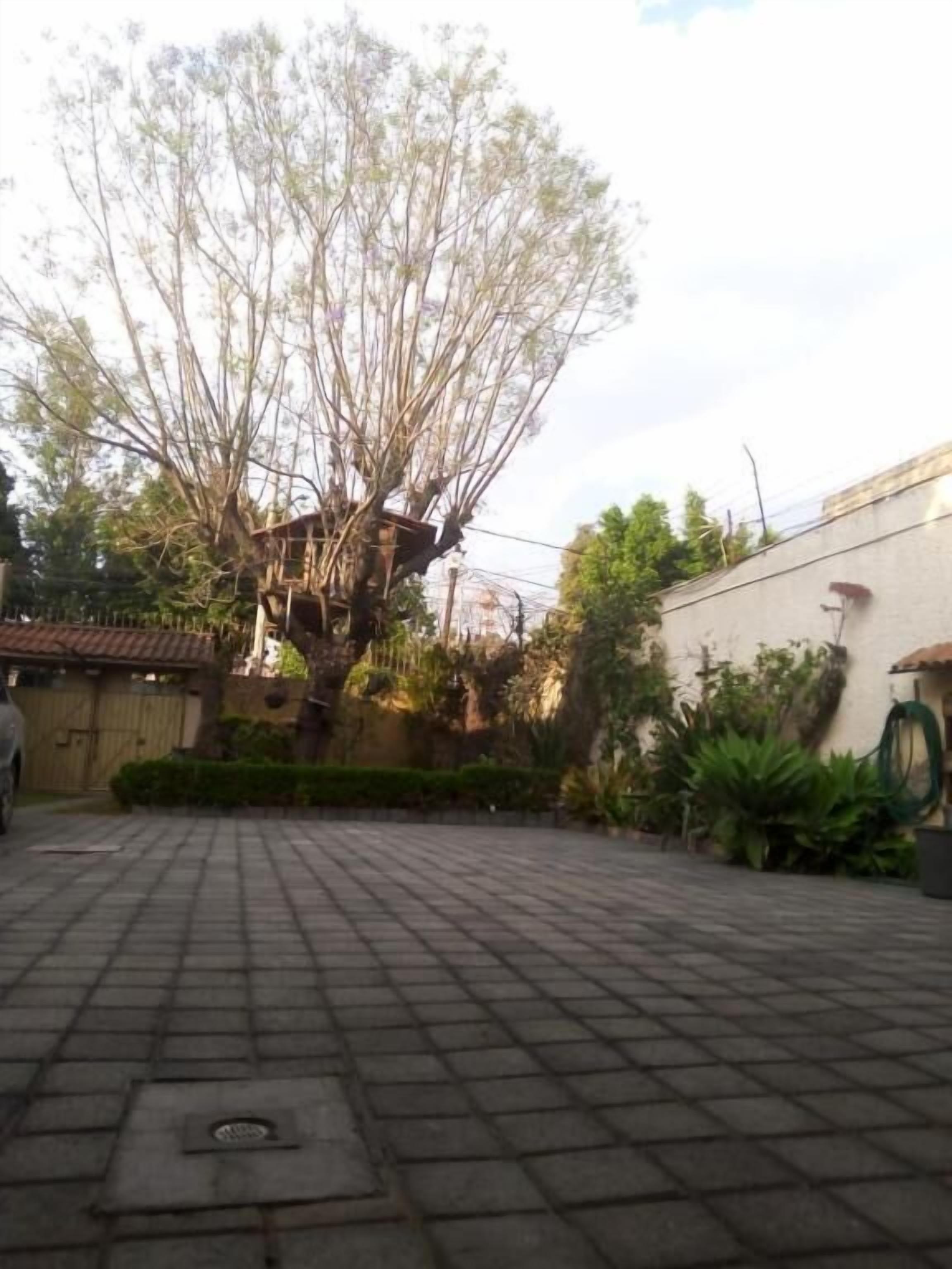 Photo - Casita del Árbol