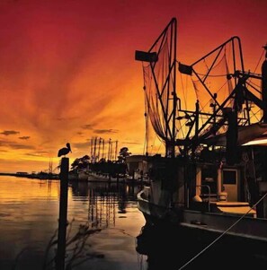 Marina - Affordable Month to Month Stay, Beaches, Casino, Tiny house,  (Bay St. Louis)