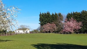 A grassy field with a white building, trees, and a clear blue sky. - The Paddocks -  a bungalow situated in a rural village surrounded by fields and horses (Frettenham)