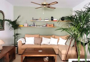 Smart TV, books