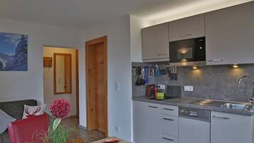 Kühlschrank, Mikrowelle, Herdplatte, Geschirrspüler