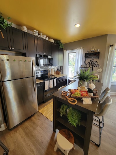 Luxury Boutique Style 1 Bdrm Condo in Downtown Location