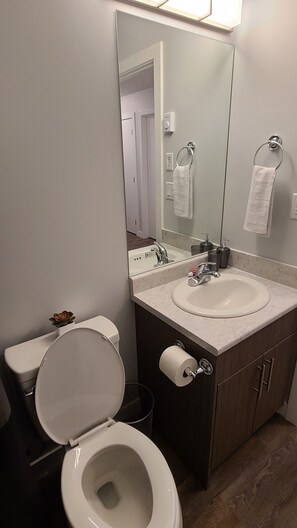 Une salle de bain moderne avec des toilettes blanches, deux lavabos, un grand miroir et un porte-rouleau de papier toilette.