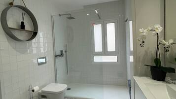 Shower, hair dryer, bidet, towels