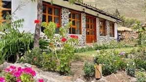 Ein rustikales Haus mit Steinaußenwand, großen Fenstern und einem Garten mit verschiedenen Pflanzen und Blumen.