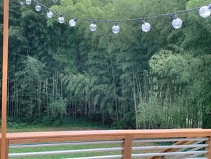 Property grounds - Cozy Decatur Bungalow - 10 min. to downtown Atlanta. The Perfect Intown Getaway! (Decatur)