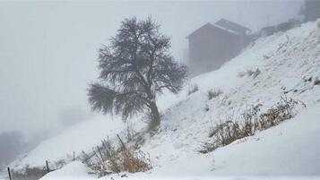 A snow-covered landscape with a single leafless tree and a wooden structure on a hill.