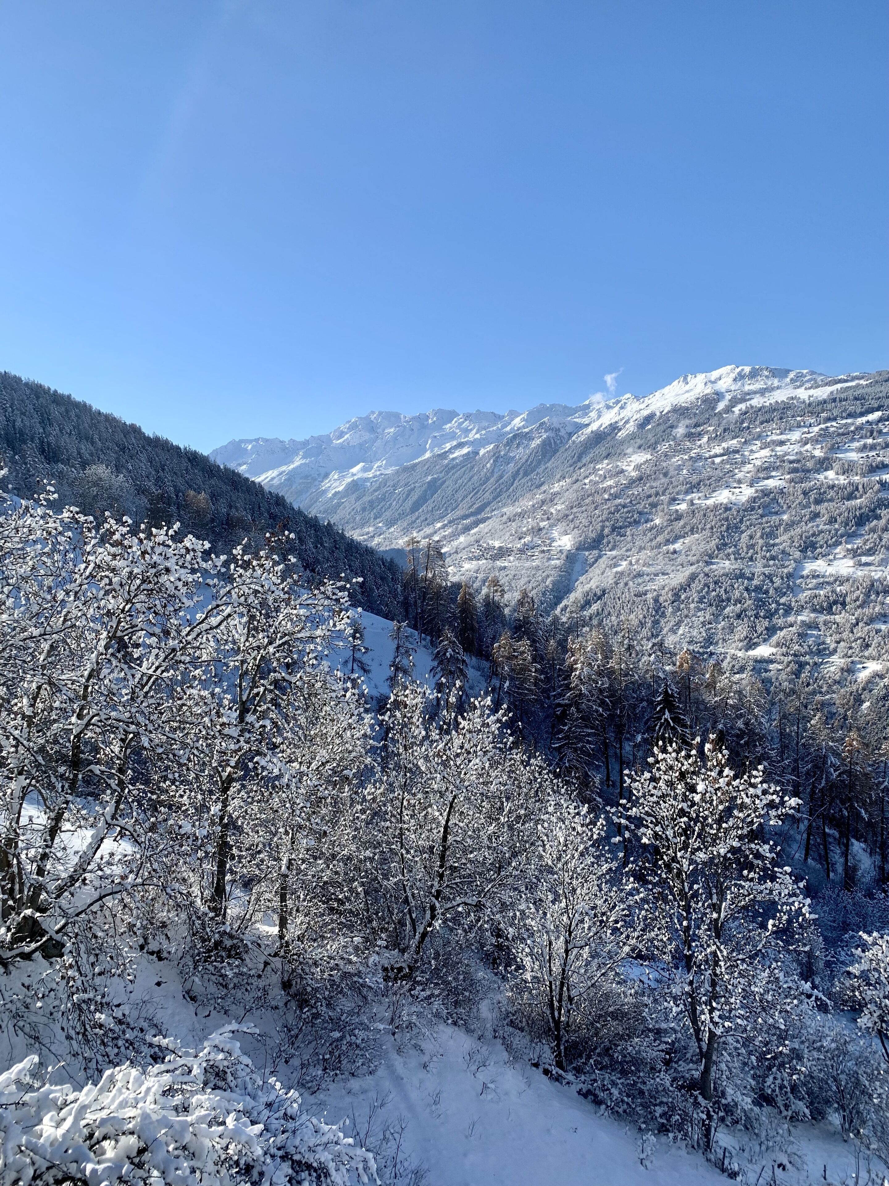 1 chambre, fer et planche à repasser, lit parapluie, Wi-Fi gratuit