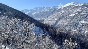 1 slaapkamer, een strijkplank/strijkijzer, reisbedje, gratis wifi