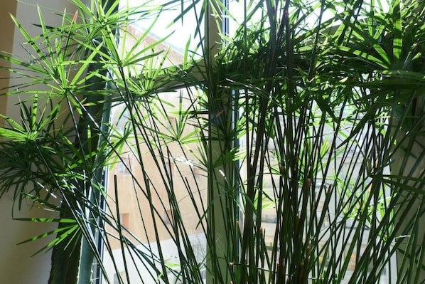 Reception - Ostello Torino (Turin)