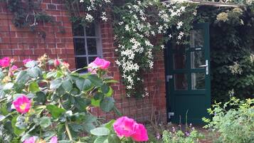 A garden with blooming pink roses and a brick building with a green door.