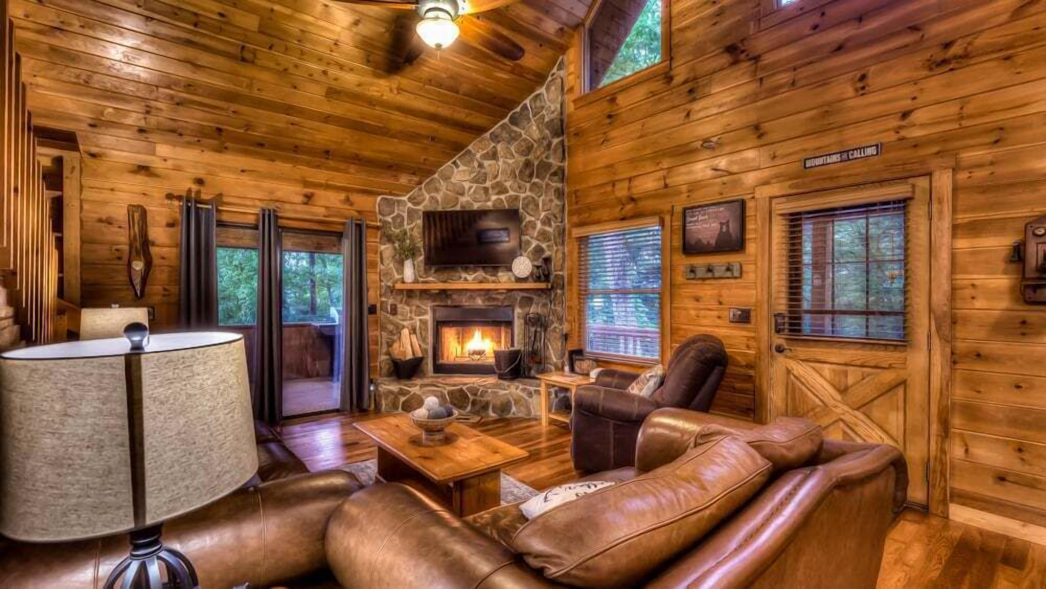 TV, fireplace, video games, DVD player