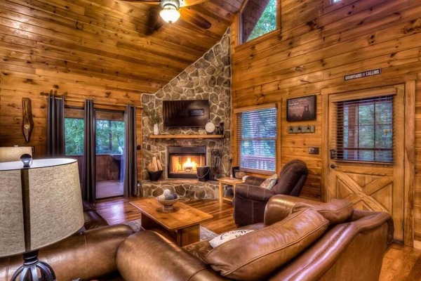 TV, fireplace, video games, DVD player