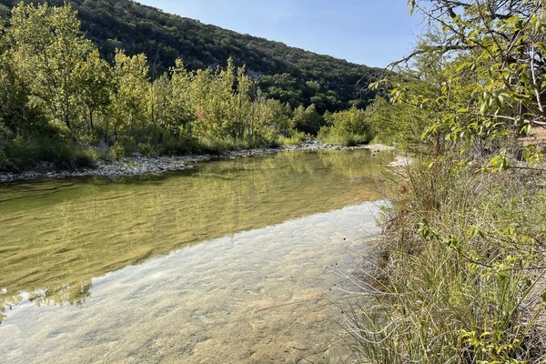A tranquil, clear-water creek flows gently through a sunlit landscape, bordered by lush green trees and a grassy bank under a bright blue sky.