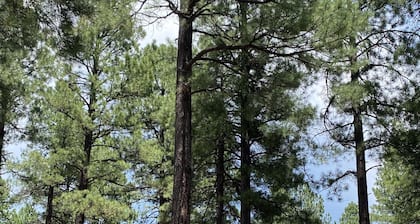 Snuggle up in our cushy 3 bedroom condo in the pines of Pinetop