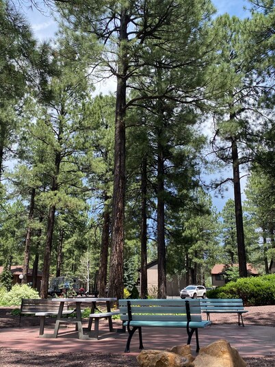 Snuggle up in our cushy 3 bedroom condo in the pines of Pinetop