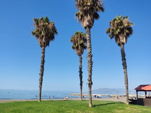 Botó d’imatge sense classificar, 4 de 20