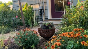 A house with a porch, a garden with orange flowers, and a metal birdcage.