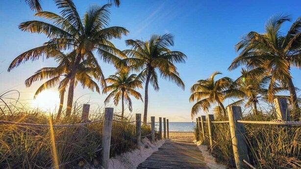 A wooden boardwalk leading to a beach with palm trees and a clear sky. - Campbell Suite (Key West)