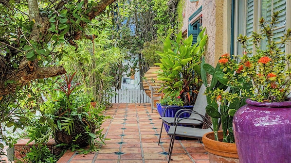 A narrow pathway flanked by lush greenery and potted plants, leading to a building with a white fence and a blue chair.