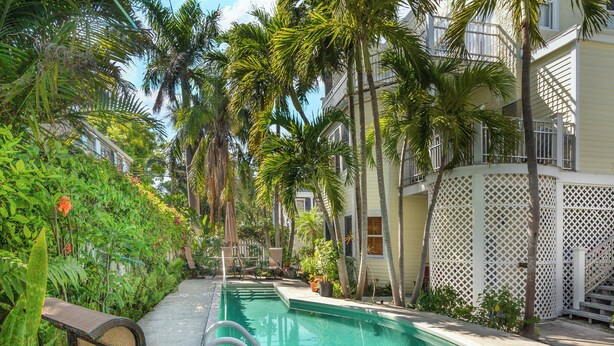 Zona de piscina con vista despejada, rodeada de exuberante vegetación y palmeras.