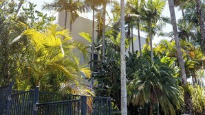 A tropical setting with tall palm trees and a building in the background.