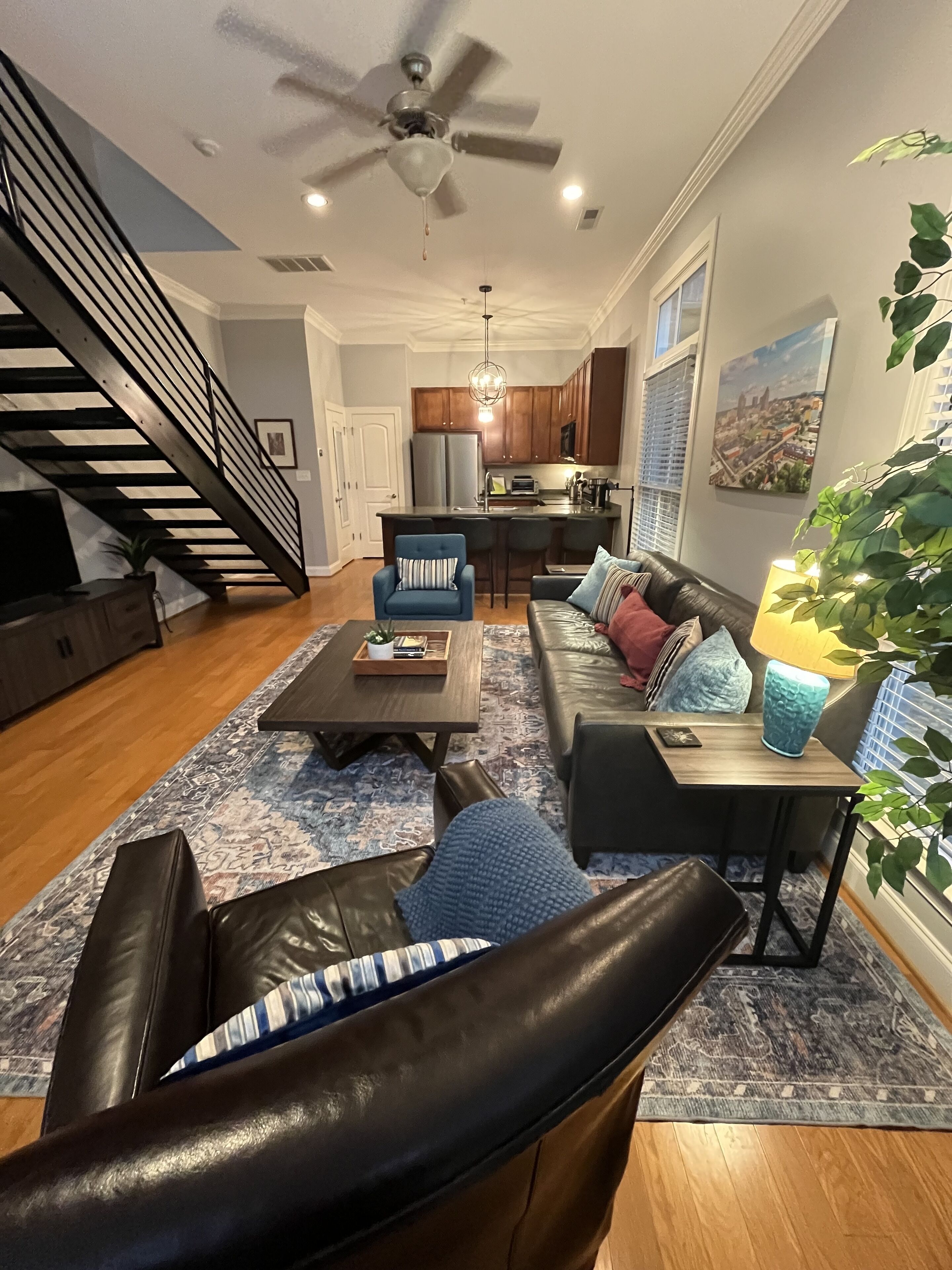 Smart TV, fireplace, DVD player, books