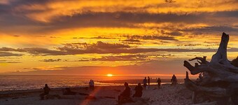 125' Beachfront Bliss, Private Beach Access, Firepits, crabbing, clamming - wow!