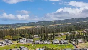 Una zona residencial con varias casas de dos pisos, rodeada de bosques densos y colinas al fondo.