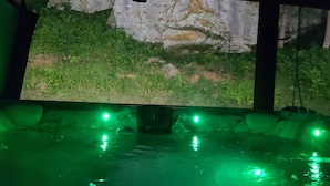 A room with a large wall-mounted screen displaying a nature scene, a green-lit pool, and a stone wall. - Hocking hills
Logan Ohio
A birds eye view cabin rentals (Logan)