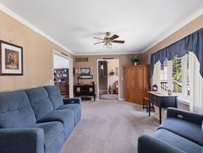 TV, fireplace, DVD player