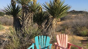 Zwei Adirondack-Stühle in einer natürlichen Umgebung mit Yucca-Pflanzen und trockenem Gras.