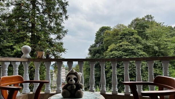 A balcony with a table and two chairs, a teddy bear on the table, and a view of trees.