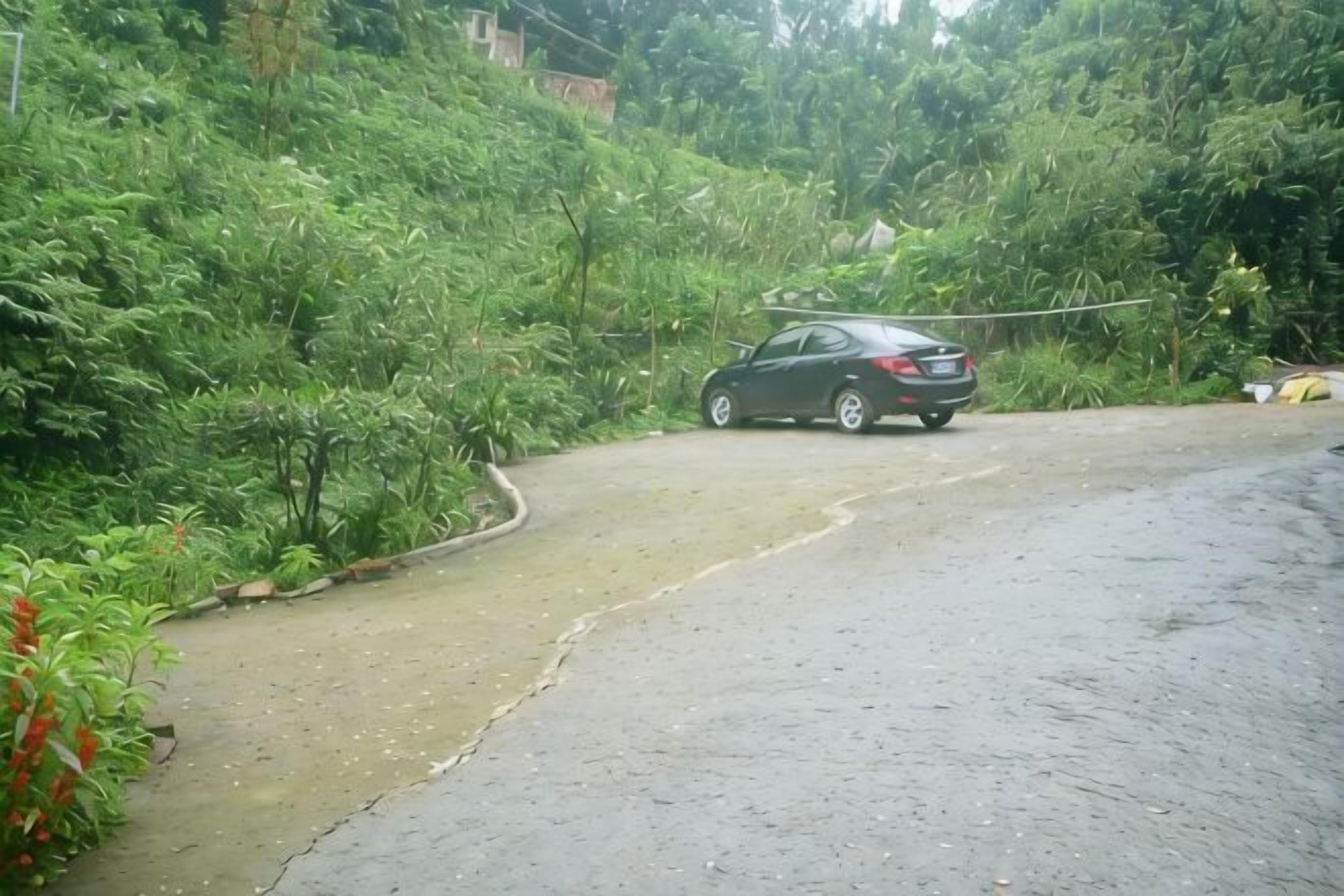 免费自助停车