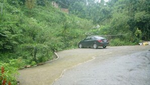 A car parked on a curved road surrounded by dense greenery.
