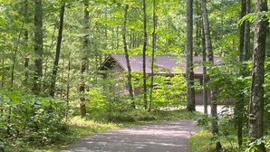 A forested area with a paved path leading to a building with a sloped roof. - The Morgan-Your Northwoods Escape! (Hayward)