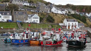 A harbor with multiple boats docked, surrounded by residential buildings and a hillside.