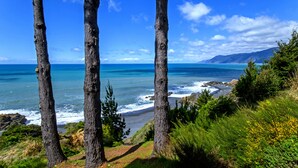 Un paisaje costero con árboles altos, una playa y un cielo azul despejado.
