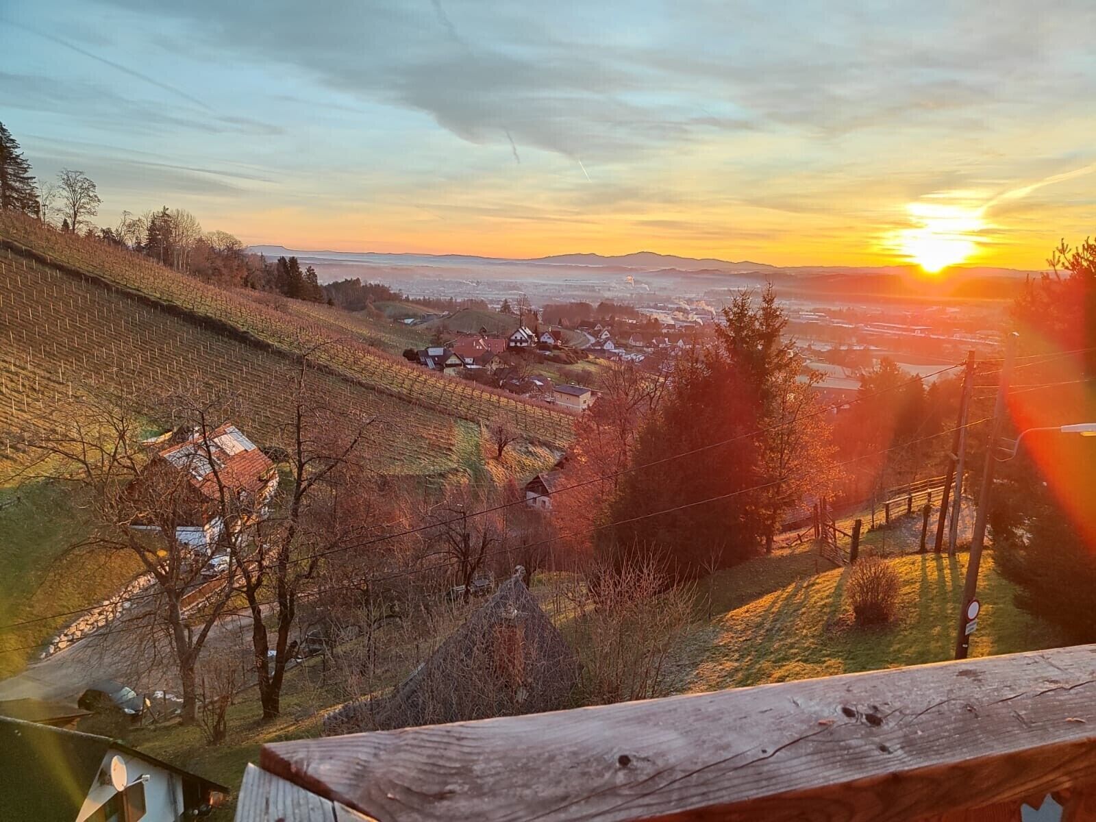 A vineyard with houses, a wooden fence, and a sunset.