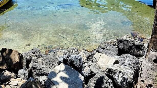 Eine Steg, der sich in ruhiges Wasser erstreckt, mit vertäuten Booten, einer kleinen Konstruktion mit einem Schild und einem felsigen Vordergrund.